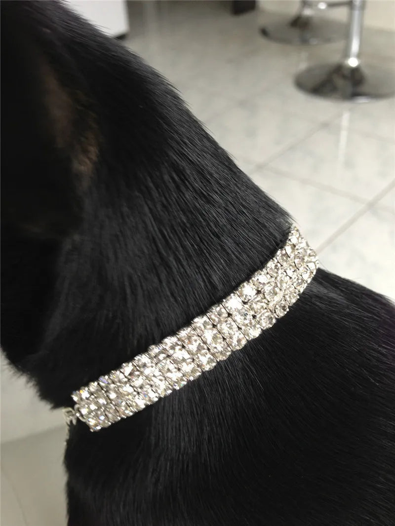 New Bling Cute Small Pet Collar Rhinestone