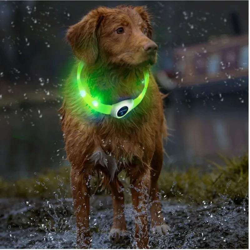 For Large Medium Small Dogs Collar Usb Light Night Safety Pet Glowing Waterproof