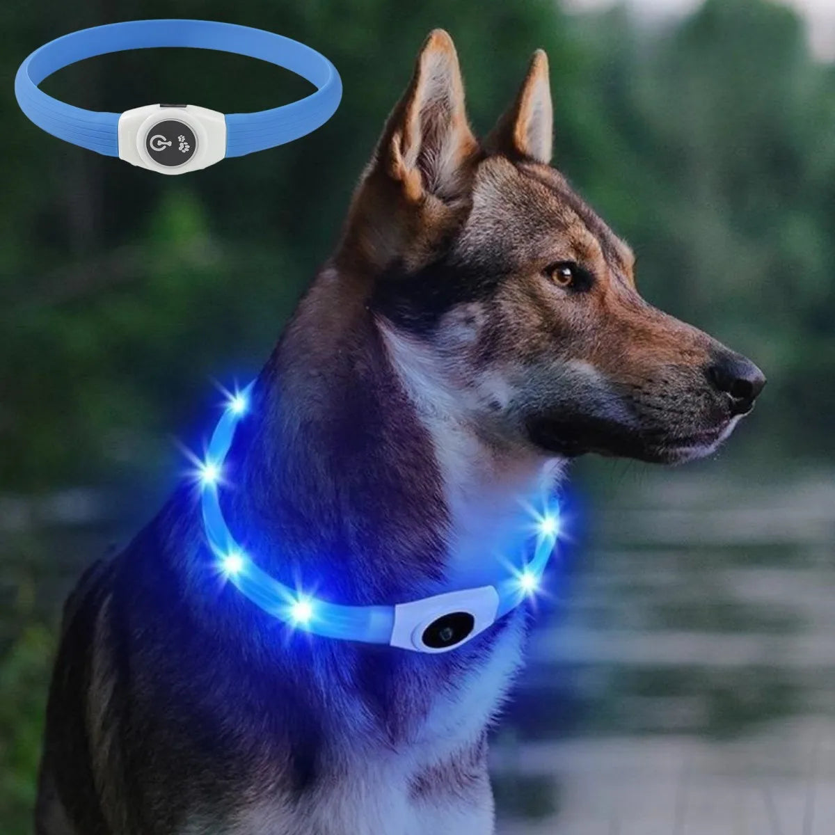 For Large Medium Small Dogs Collar Usb Light Night Safety Pet Glowing Waterproof